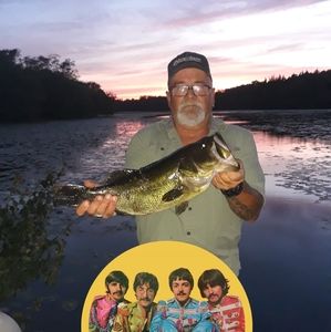 Meet your Posher, Neil